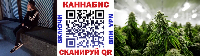 Купить закладку Элиста Alpha PVP  ГАШИШ  Галлюциногенные грибы  Кокаин 