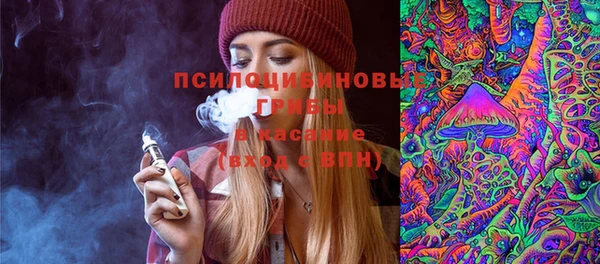 таблы Краснослободск