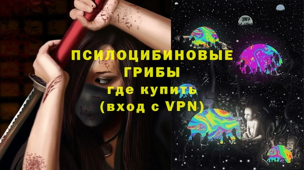 таблы Краснослободск