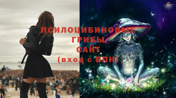 хмурый Кукмор