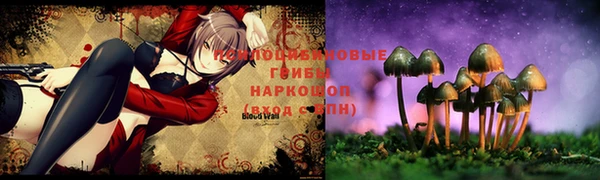 таблы Краснослободск