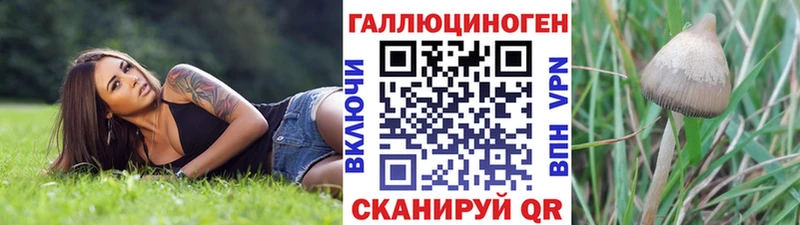 Галлюциногенные грибы Psilocybe  купить наркотики цена  Элиста 