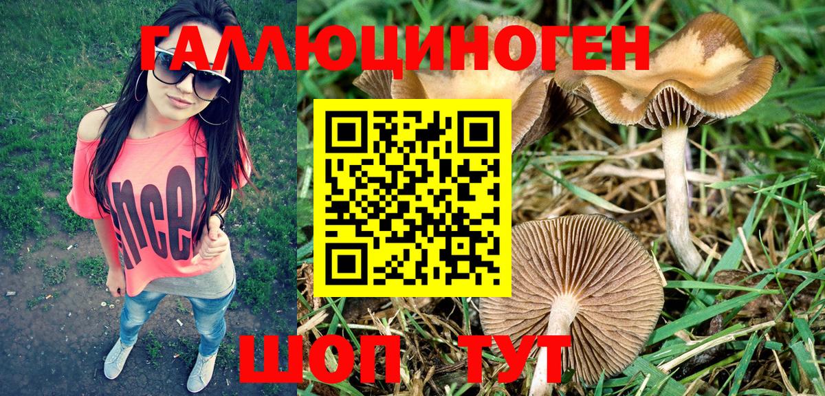 Псилоцибиновые грибы GOLDEN TEACHER Элиста